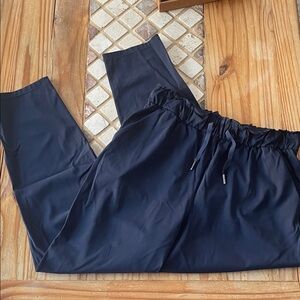 Lululemon Navy on the fly pants